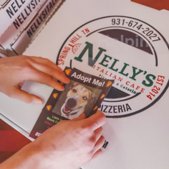 Nelly's Italian Cafe logo and pizza for pups flier